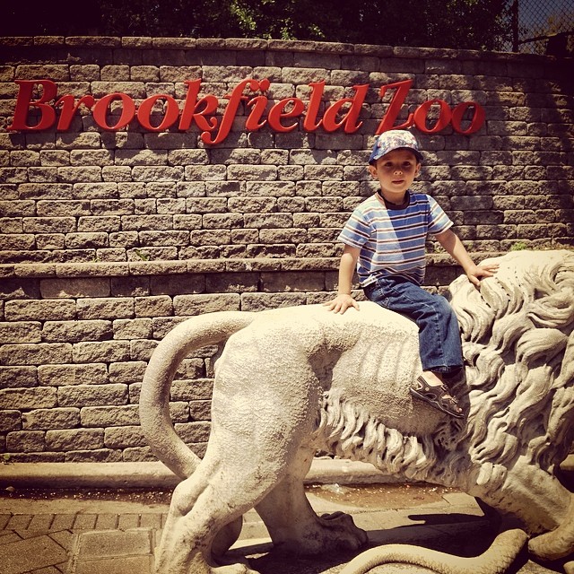Riding a lion at #brookfieldzoo