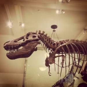 natural history museum nyc dinosaur