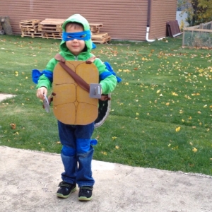 homemade turtle shell costume