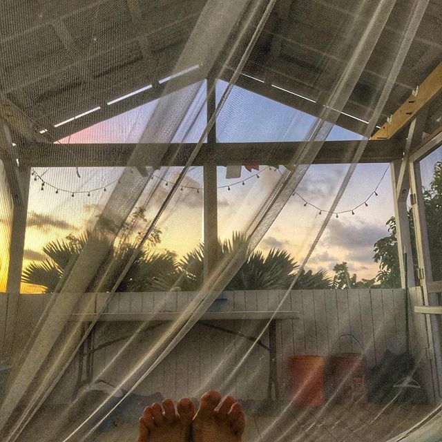 sleeping under a mosquito net - caribbean cottage