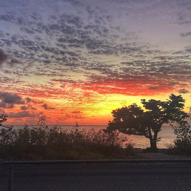 Last night’s show was …. lit 🔥 *Taj’s new favorite word. 🌅#lovetheview #sunset #mothernature #sunsetbeach #islandview #beachsideliving #westisbest #mothernaturesbeauty #womenwholiveonrocks #islandlife #greenflash #outdoorliving #frederiksted