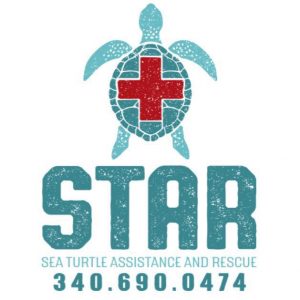 Sea Turtle Assistance and Rescue - St. Croix