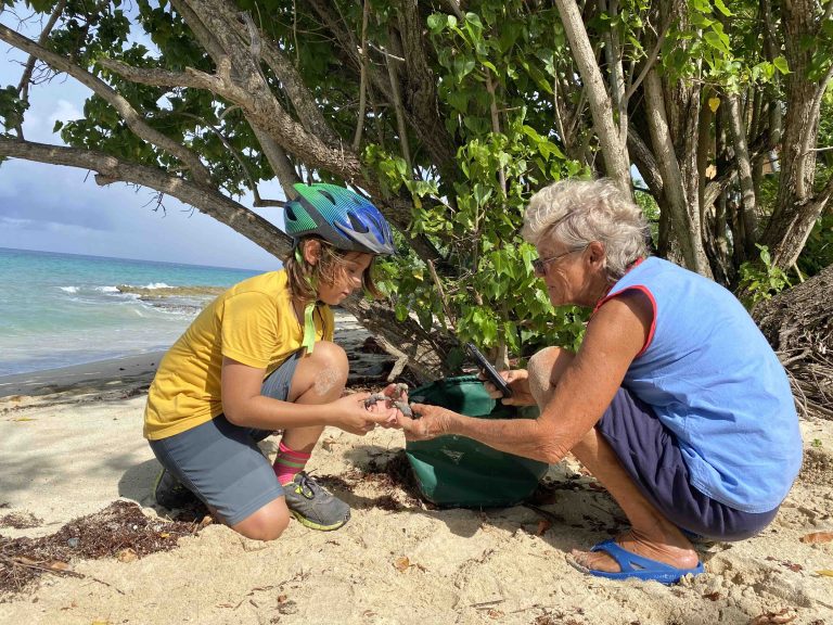 STAR-turtle-rescue-St-Croix